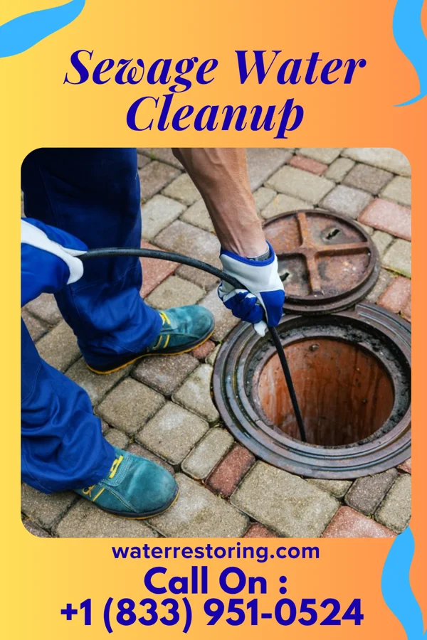 Sewage Water Cleanup in Oakwood, MO