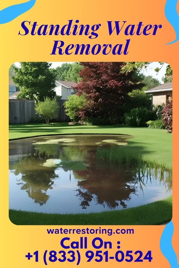 Standing Water Removal in Oakwood, MO